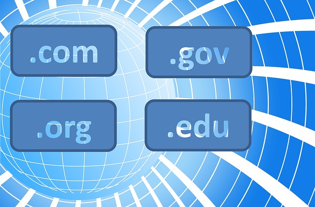 com, gov, org, edu